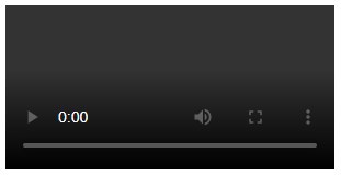 Videoelement mit Controlbutton in HTML